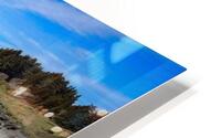 Driftwood HD Metal print