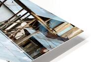 Amazon Trip HD Metal print