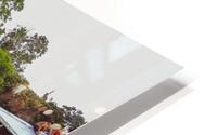 Amazon Peru  HD Metal print