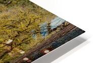 Behind the Falls HD Metal print