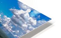 Outside Ban Hong HD Metal print