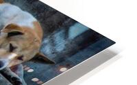 Peaceful HD Metal print