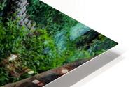 Whos got next HD Metal print