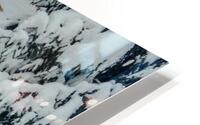 Winter snack HD Metal print
