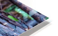 Banana Slug HD Metal print