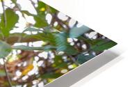 Gibbon HD Metal print