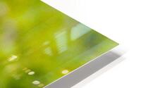 Lunch HD Metal print
