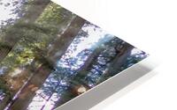Shine HD Metal print