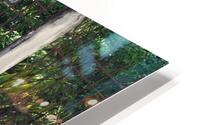 Rickshaw HD Metal print