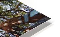 Bangkok Park HD Metal print