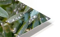 Droplets HD Metal print