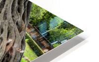 Buddhist Roots HD Metal print