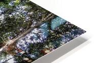 Road to Pha Phae HD Metal print