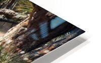 Eagles Nest HD Metal print