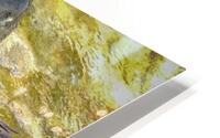Duck HD Metal print