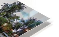 Iquitos HD Metal print