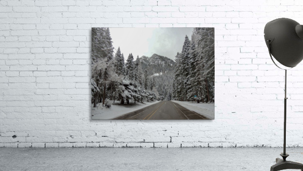 Oregon Winter Scene Wall Preview