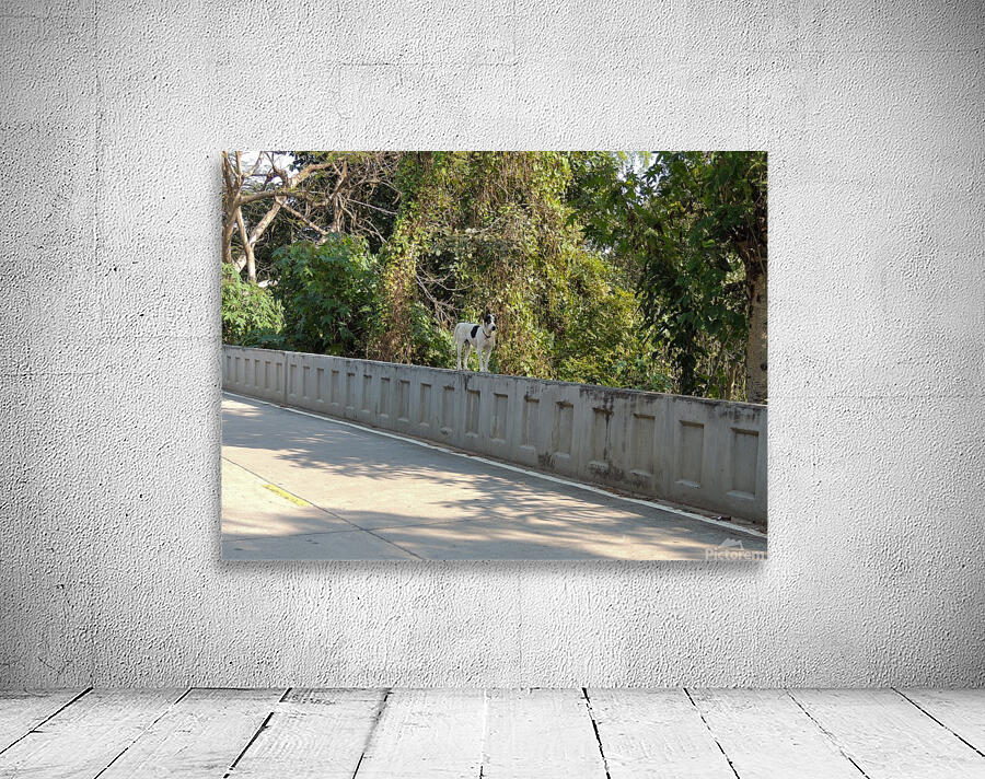 Balancing Act Wall Preview