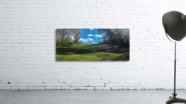 Royal Oaks   Wall Preview