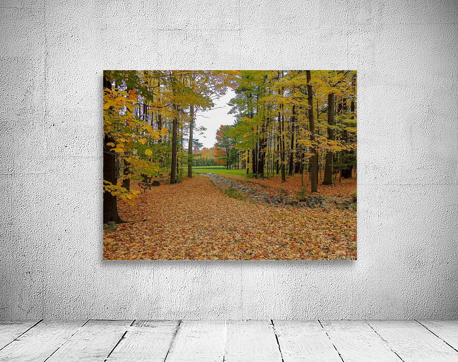 Fall Foliage Wall Preview