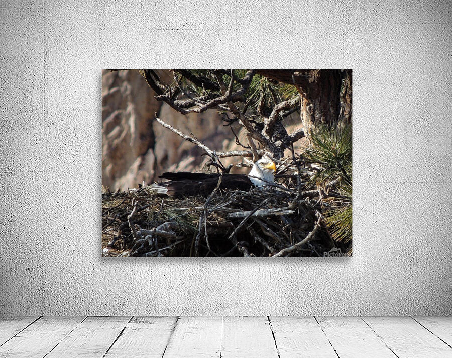 Eagles Nest Wall Preview