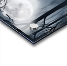 Moonlit Enchantment Acrylic print