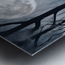 Moonlit Enchantment Metal print