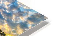 34 Tiller Sunset HD Metal print