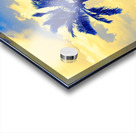 single palm 5 Acrylic print