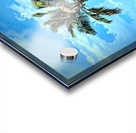 single palm 2 Acrylic print