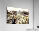 cactus bush 7 Acrylic Print