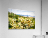 cactus plant 2 Acrylic Print