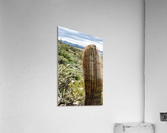 DSC05652 studio 2 Acrylic Print