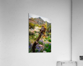 DSC05804 studio 2 Acrylic Print
