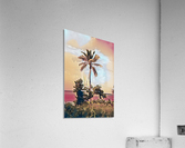 single palm 6 Acrylic Print