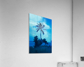 single palm 8 Acrylic Print