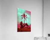 single palm 12 Acrylic Print