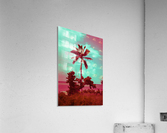 single palm 12 Acrylic Print