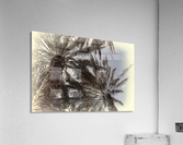 palm trees artistic Acrylic Print