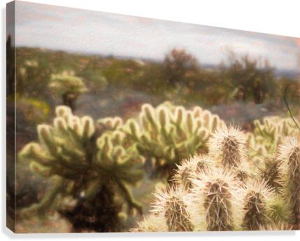 cactus bush 1 Canvas Print