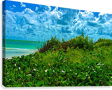Lush Dunes 1 Canvas Print