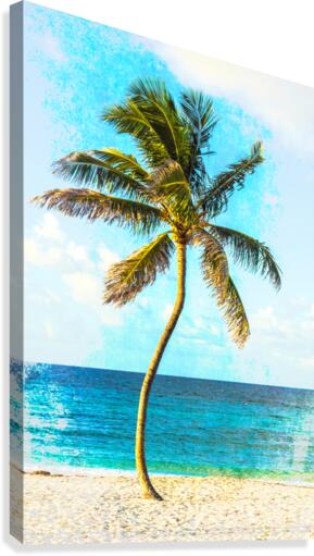 palm color 3 Canvas Print