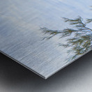 DSC05631 studio 2 Metal print
