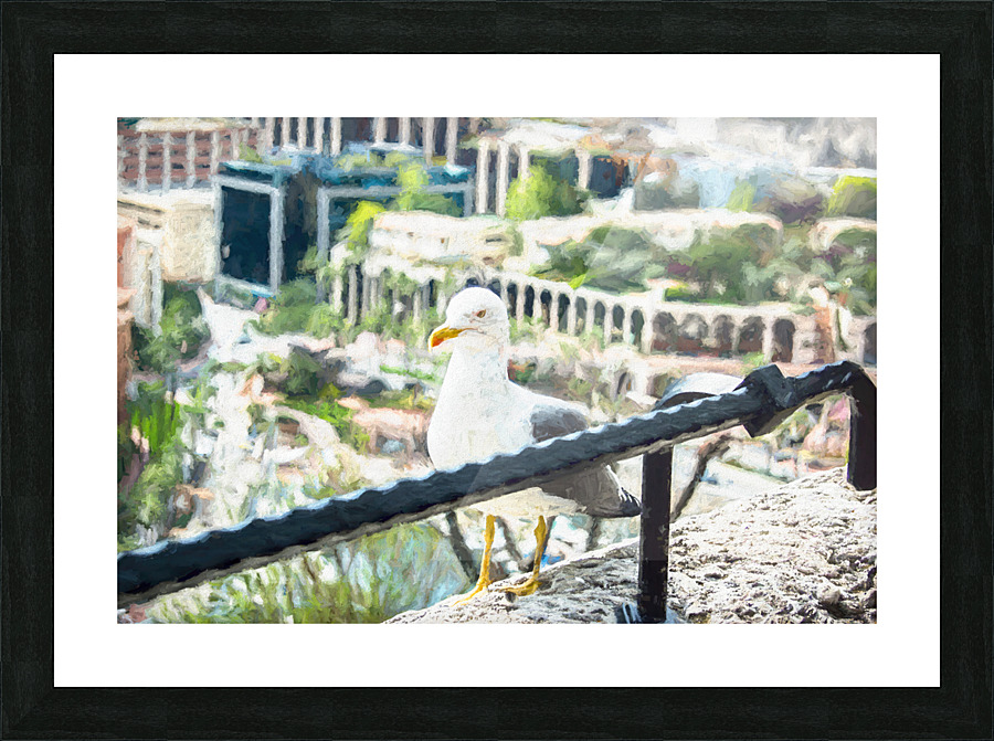 monaco seagul studio 4 Picture Frame print