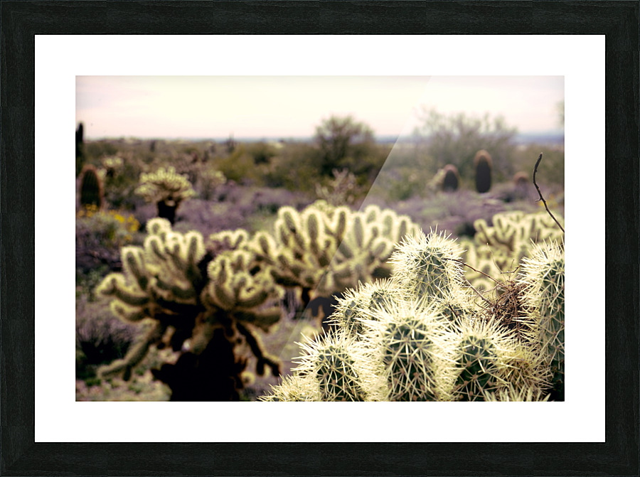 cactus bush 7 Picture Frame print