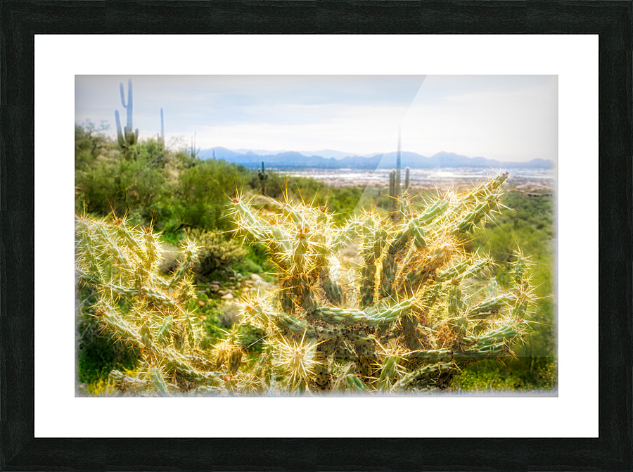 cactus plant 2 Picture Frame print