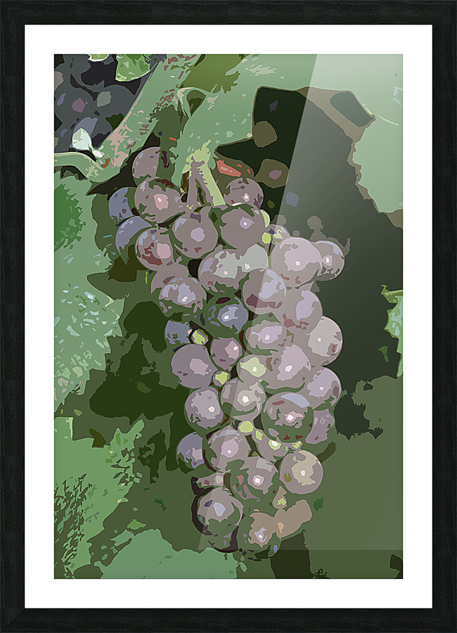 grapes 4 canvas Picture Frame print