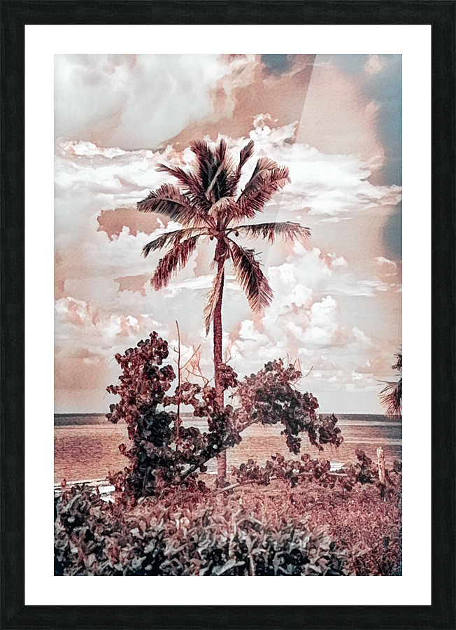 single palm 3 Picture Frame print