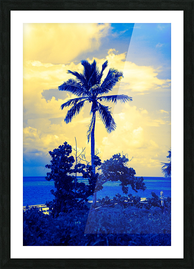single palm 5 Picture Frame print