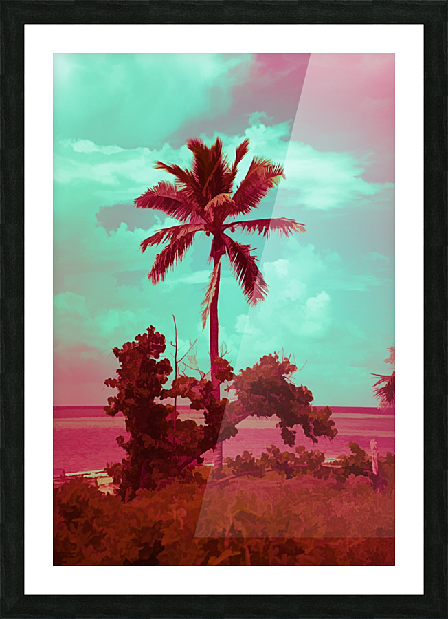 single palm 12 Picture Frame print